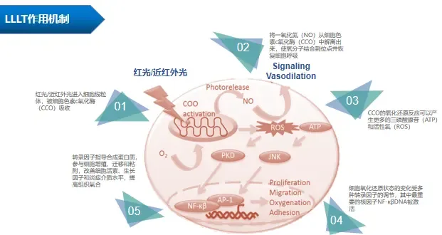 妮雀娜激光生发仪